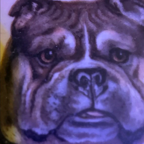 Decorative Bulldog Plate